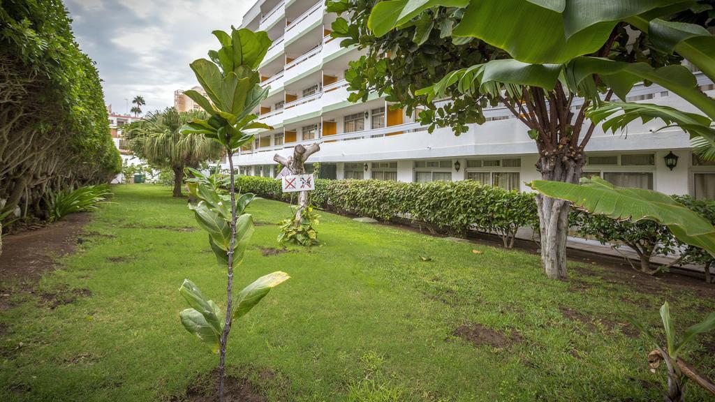 Tagoror Beach Apartments - Adults Only プラヤ・デル・イングレス エクステリア 写真